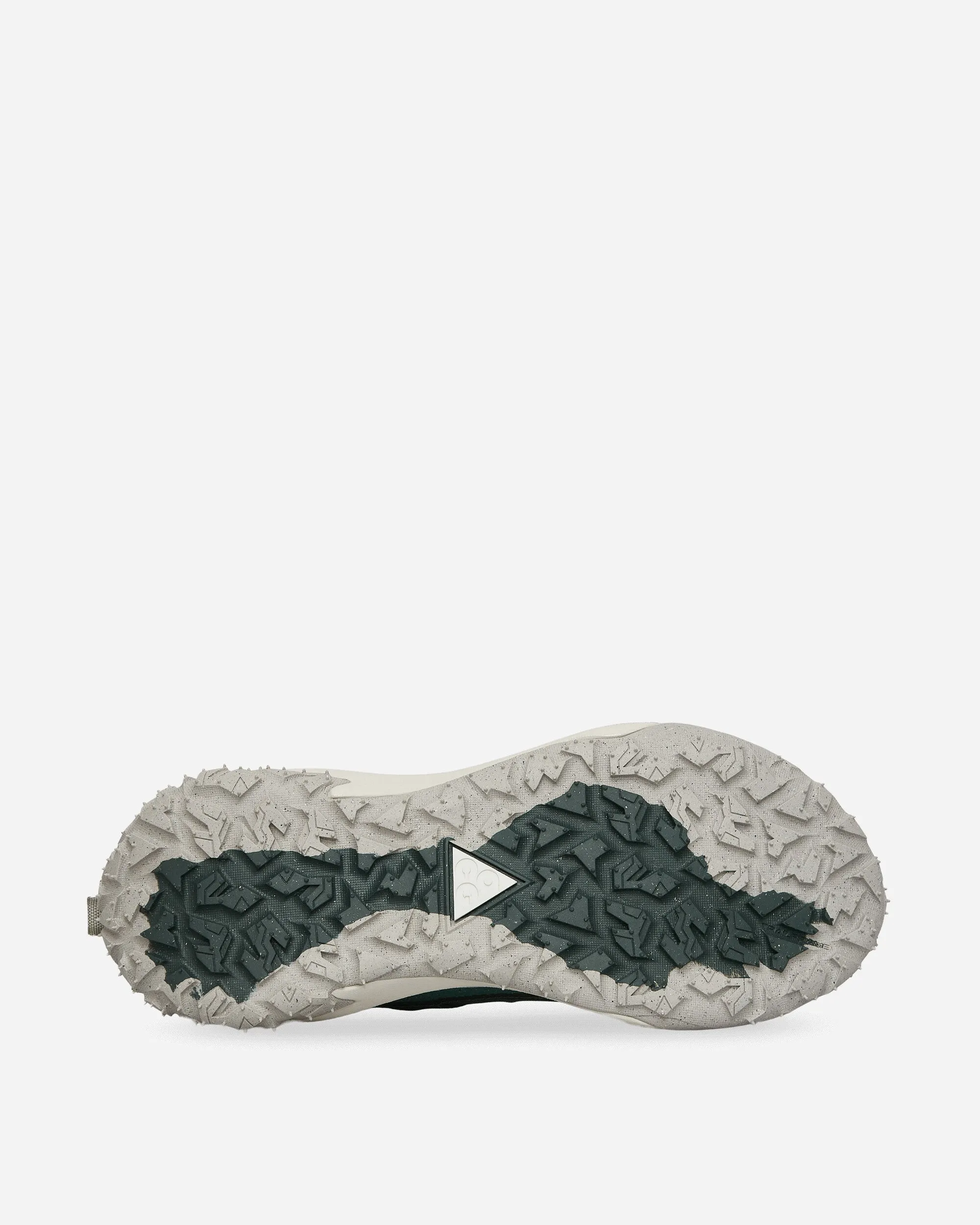 Chaussures Basses ACG Mountain Fly 2 Bicoastal