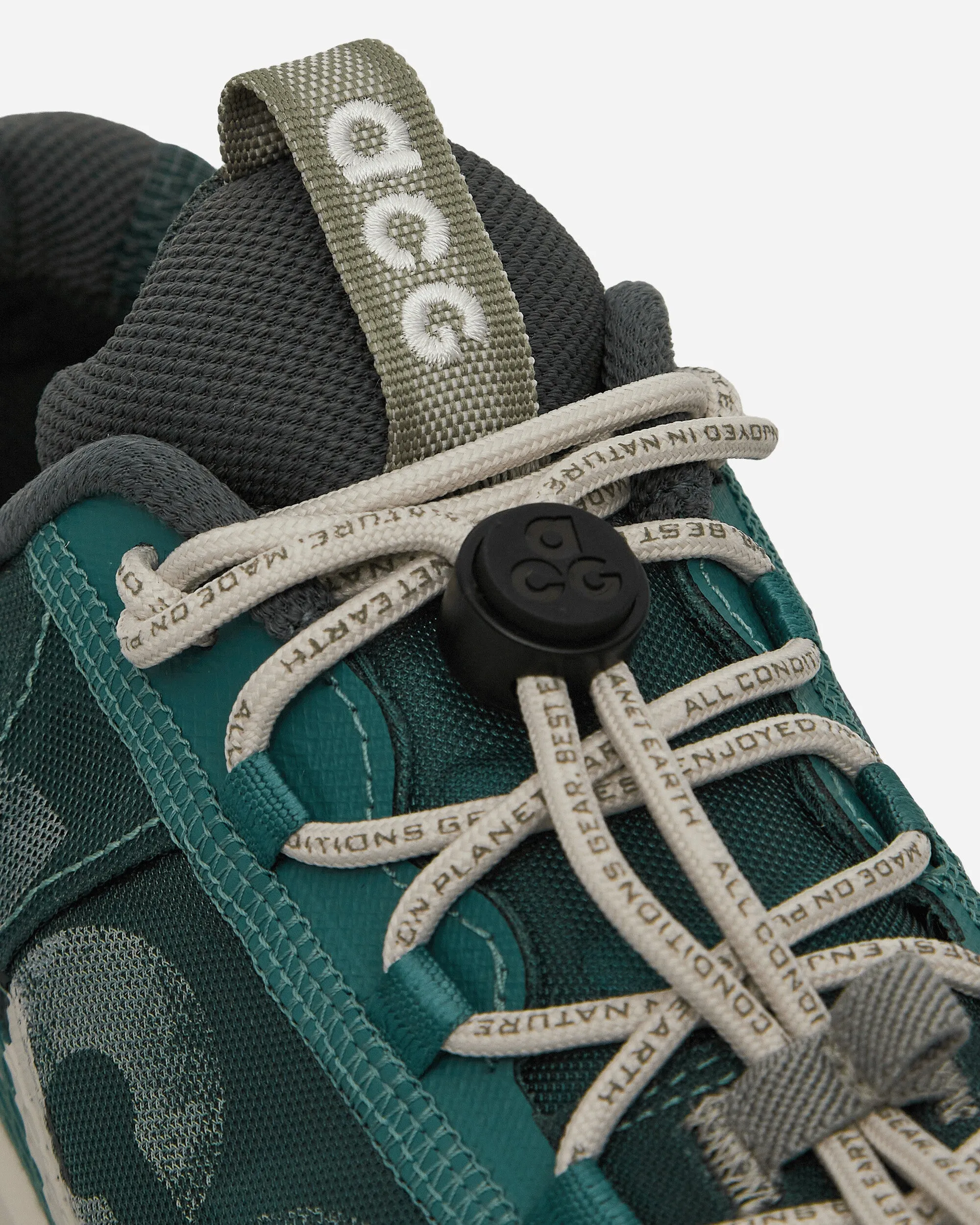 Chaussures Basses ACG Mountain Fly 2 Bicoastal