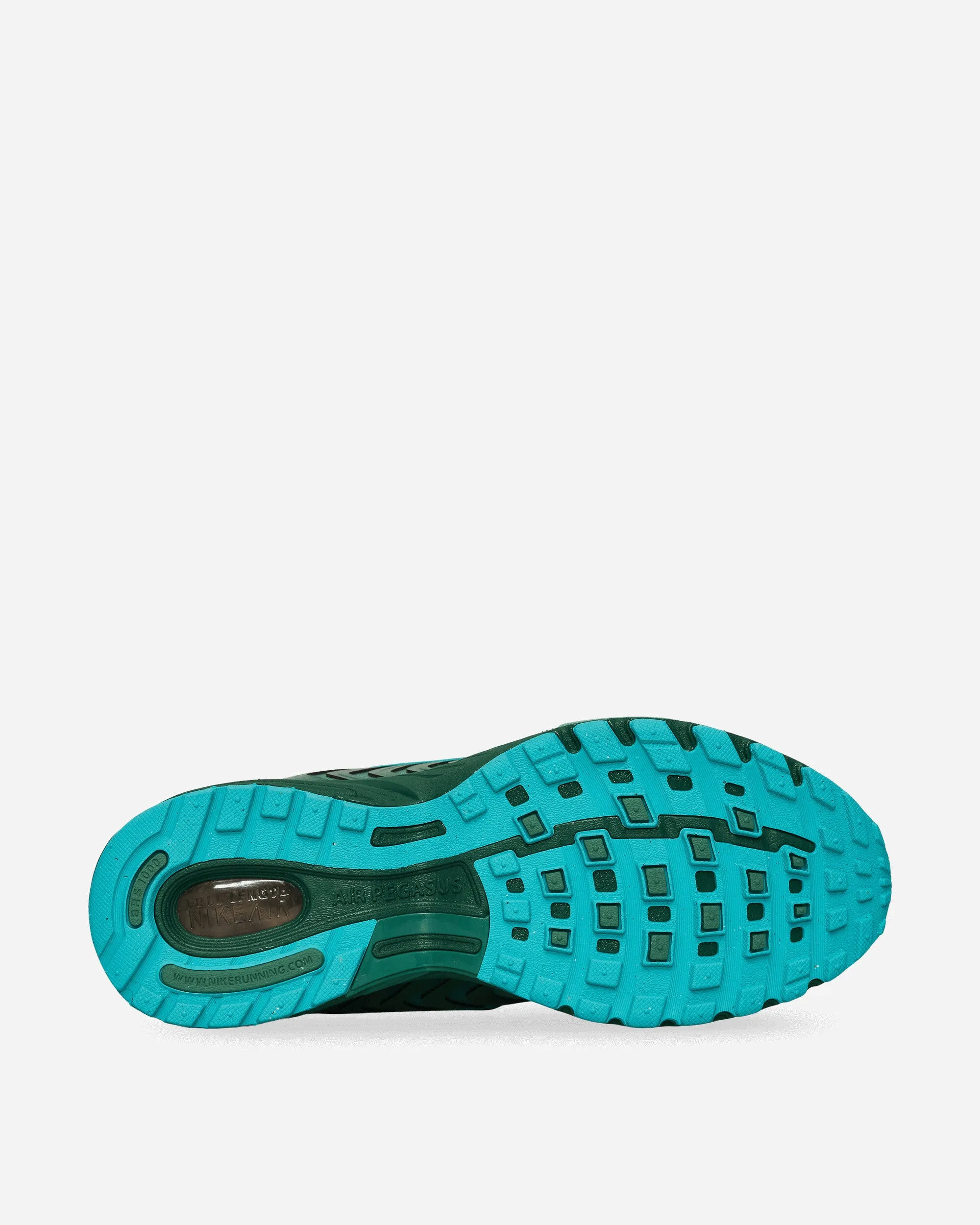 Baskets Air Pegasus 2005 Fir