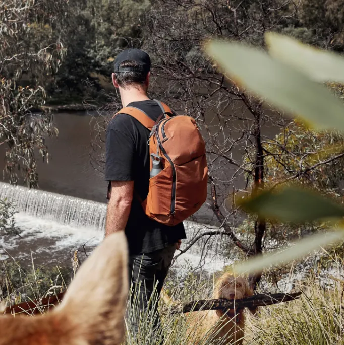 Sac Bellroy Venture Ready Pack 26L