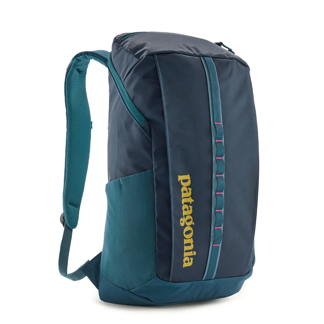 Sacs Patagonia Sac Patagonia Black Hole 25L Bleu Vert Marée