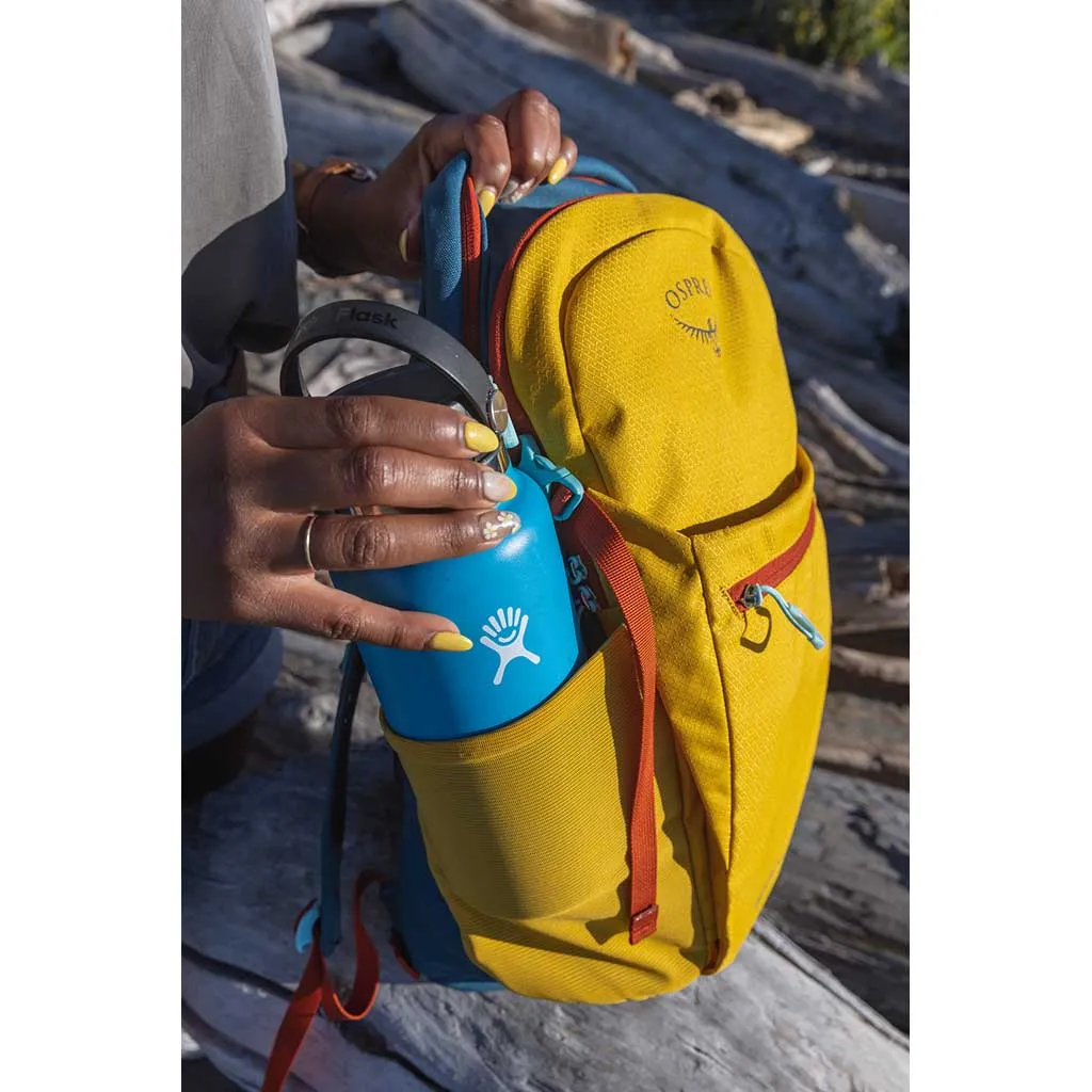 Sacs Osprey Daylite Plus