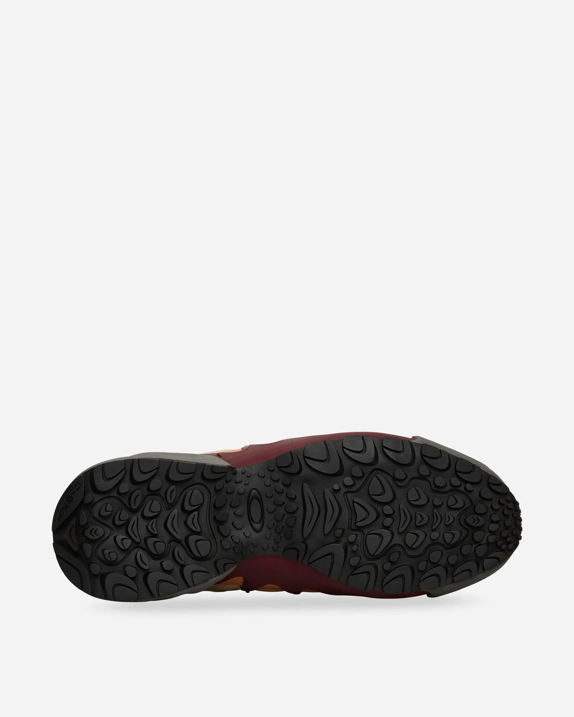 Ibex Sneakers Camelia Glacé