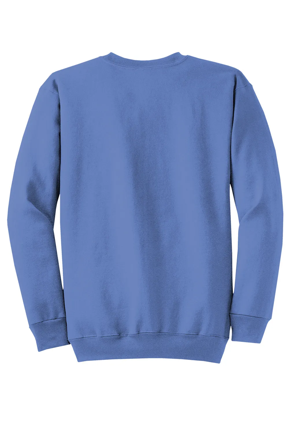 Pull en polaire résistant aux boulochages pour homme Port & Company - Bleu Caroline