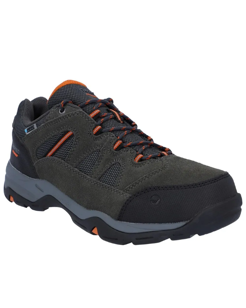 Chaussures Hi-Tec Chaussures Basses Bandera II pour Homme Hi-Tec