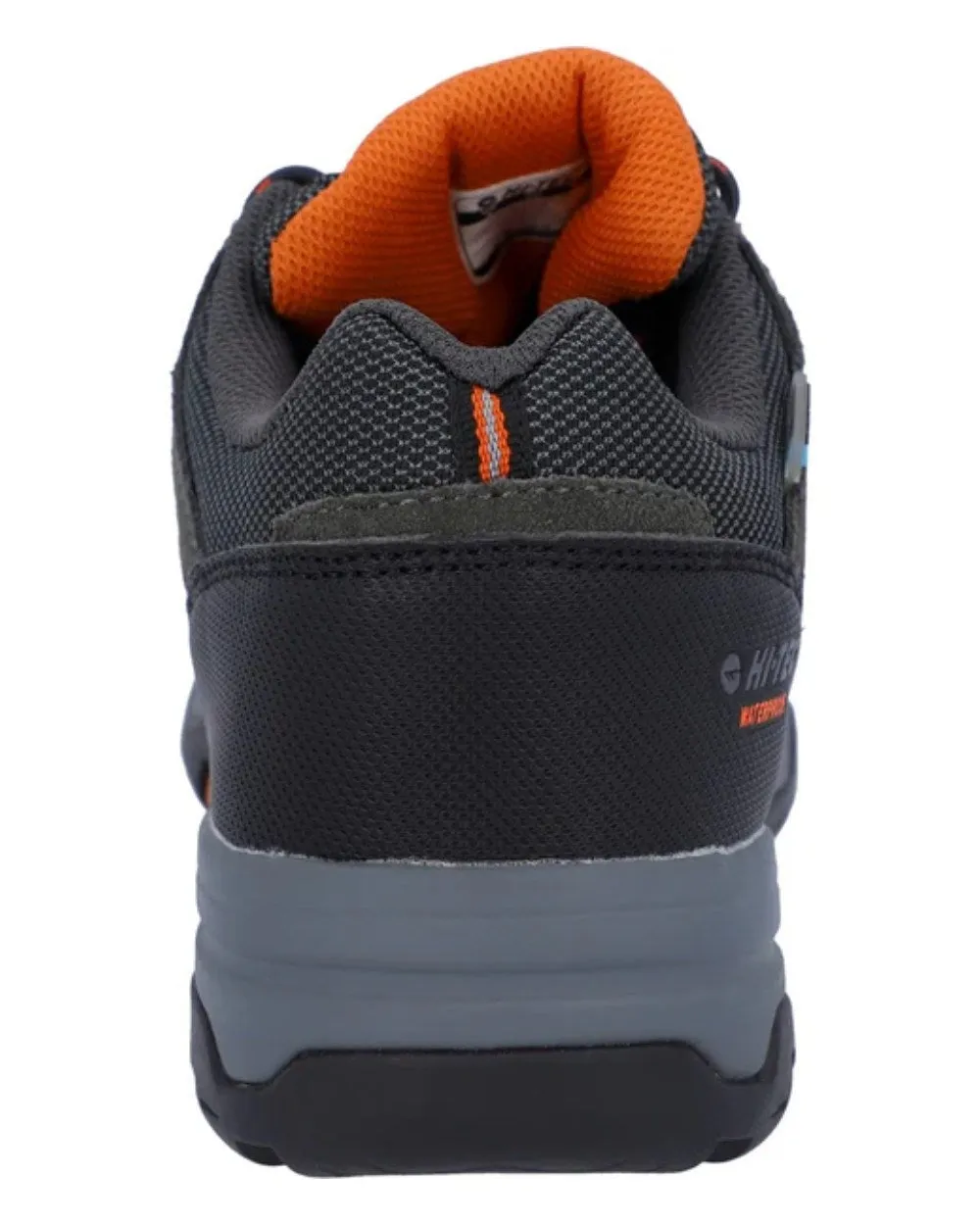 Chaussures Hi-Tec Chaussures Basses Bandera II pour Homme Hi-Tec