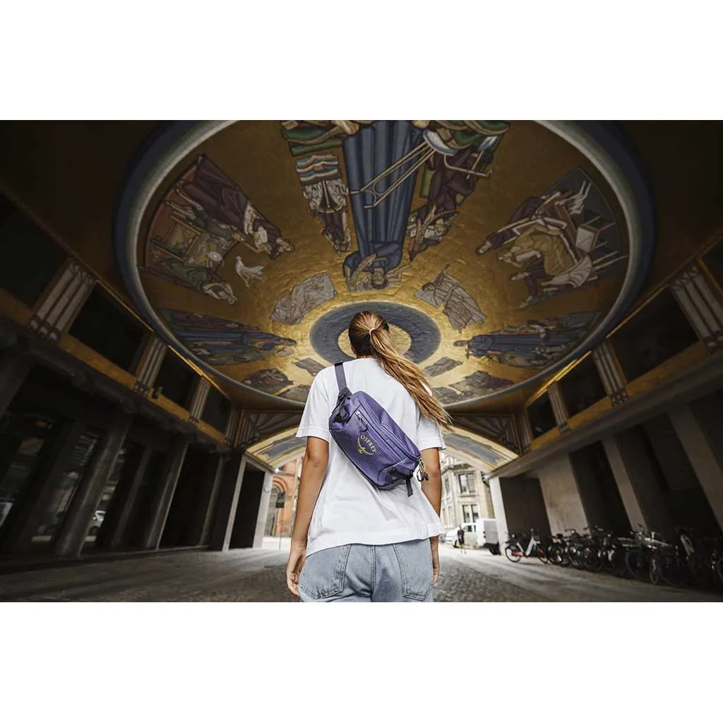 Sac banane Transporter Osprey Bags